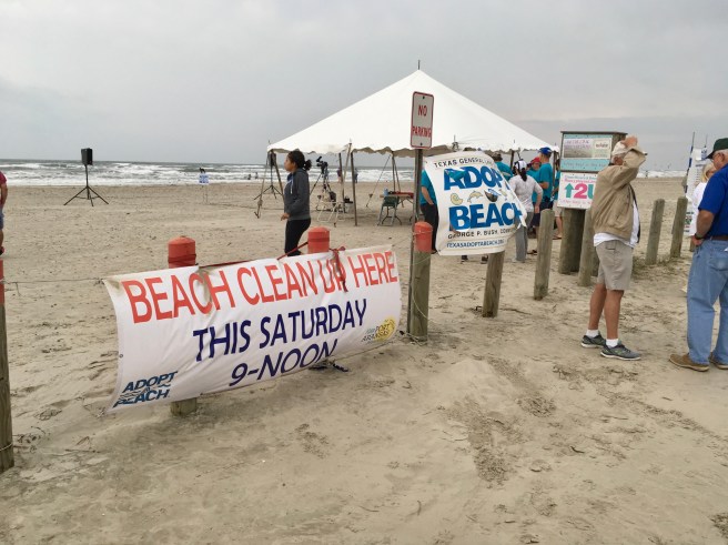 Beach Clean up