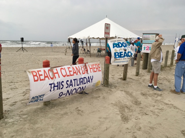 Beach Clean up