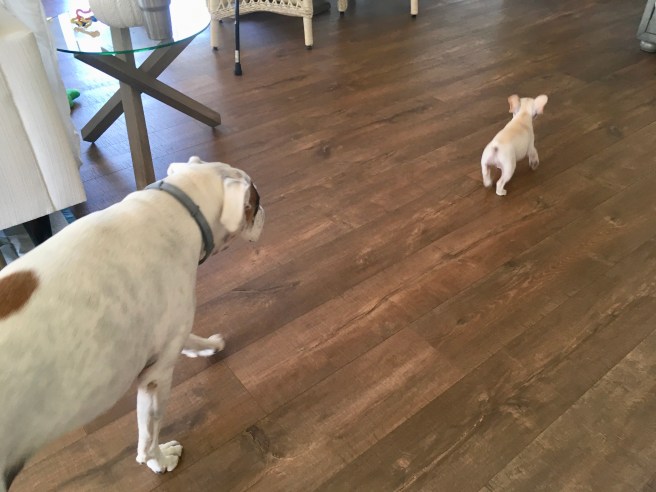 Lucy and Twiggy