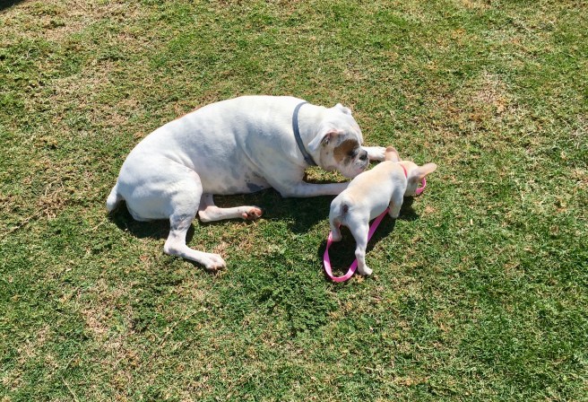 Lucy and Twiggy