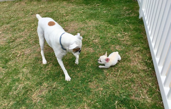Lucy and Twiggy