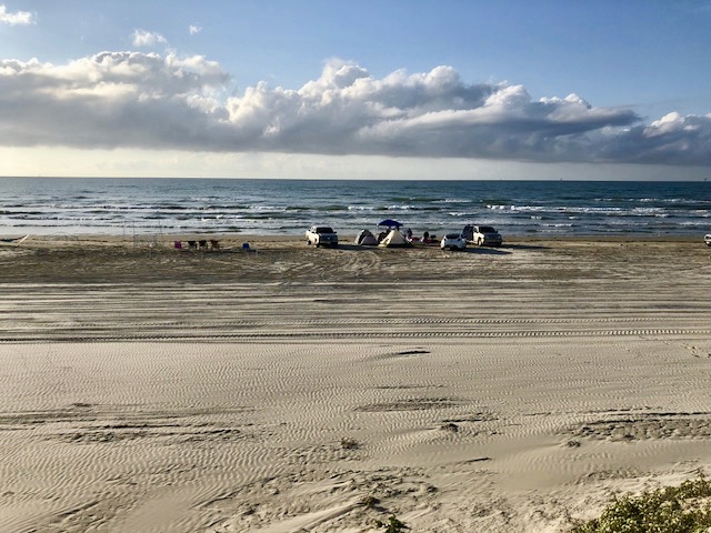 Beach Day