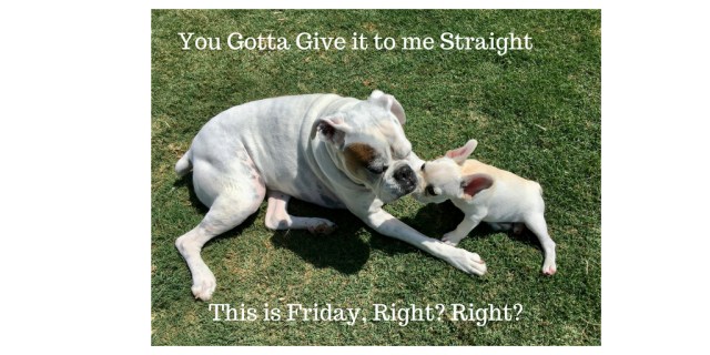 This is Friday Right