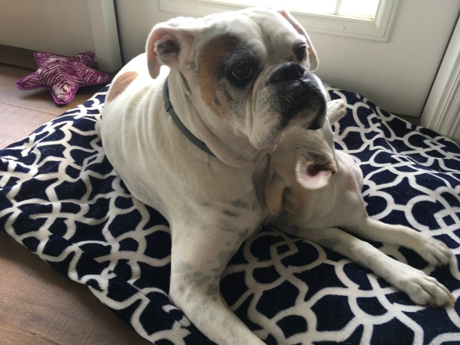 Lucy and twiggy