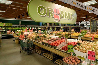 Organic Food Store