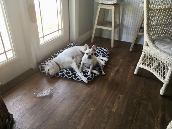 Lucy and Twiggy