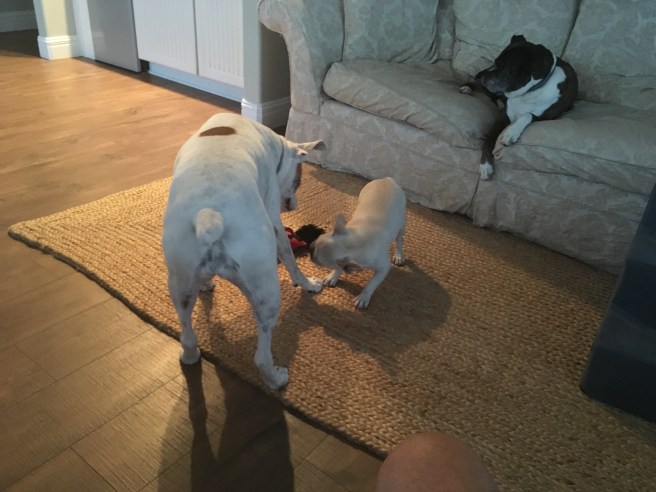 Lucy and Twiggy