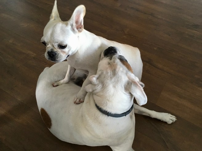 Lucy and Twiggy