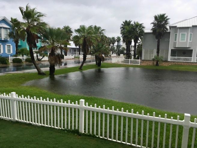 Views of the Neighborhood