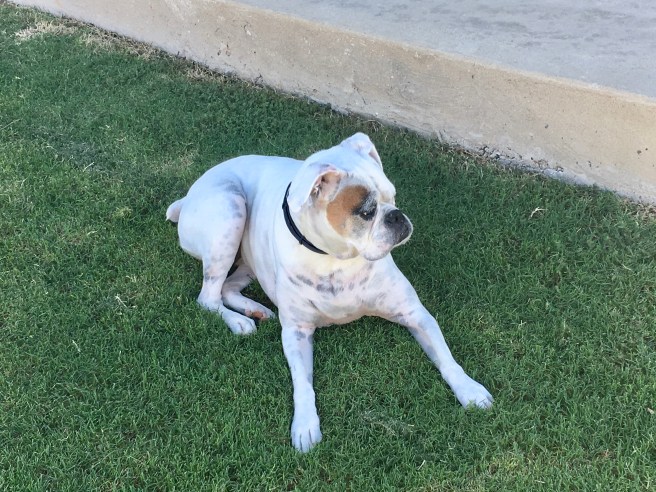 Lucy