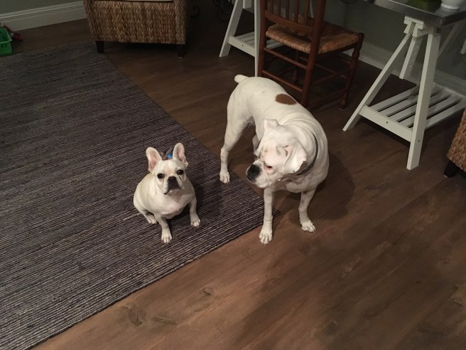 Twiggy and Lucy