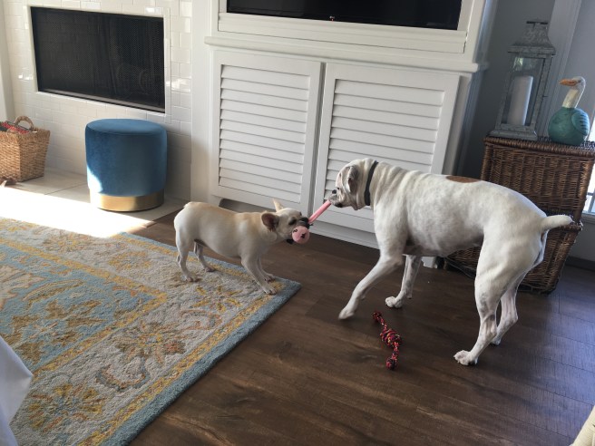 Lucy and Twiggy
