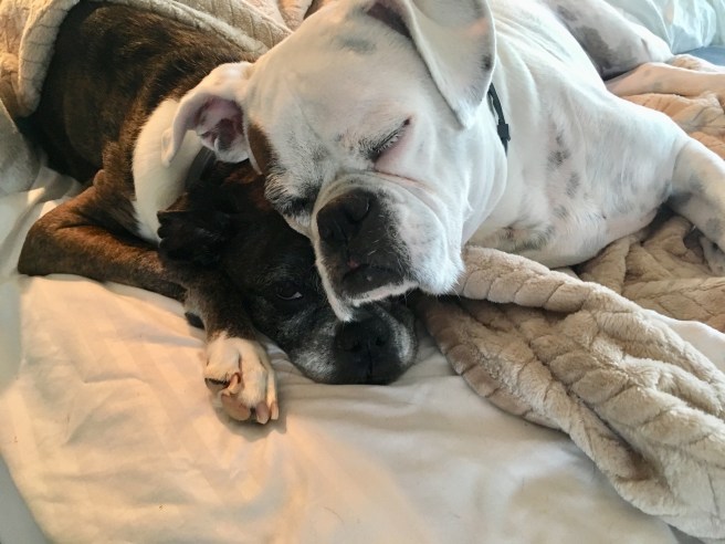 Lucy and Bailey
