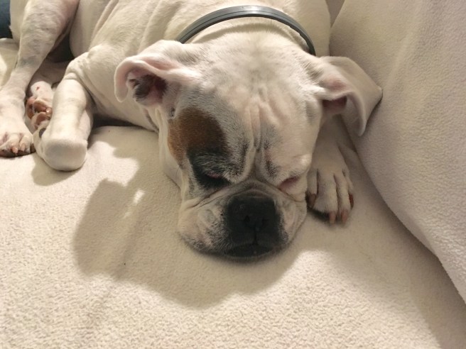 Lucy