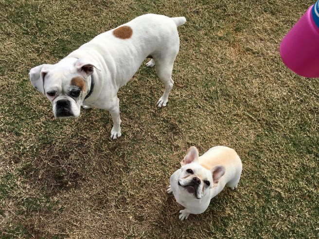Lucy and Twiggy