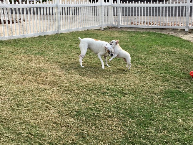 Twiggy and Lucy
