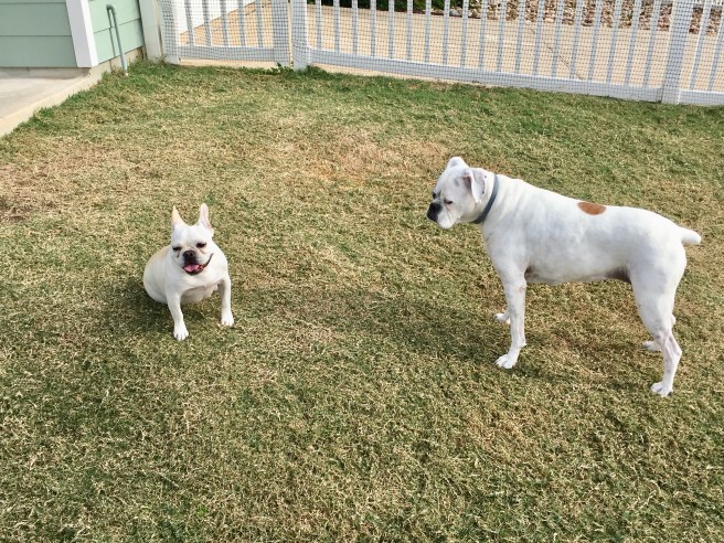Twiggy and Lucy