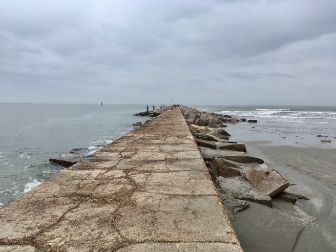 Eight Wonders of Port Aransas