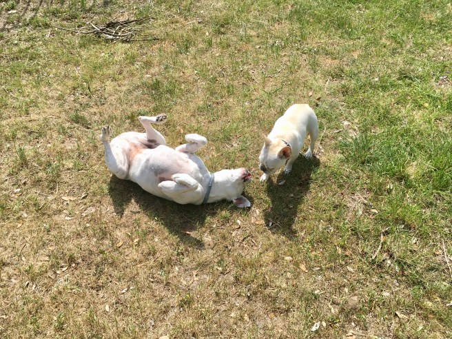 Twiggy and Lucy