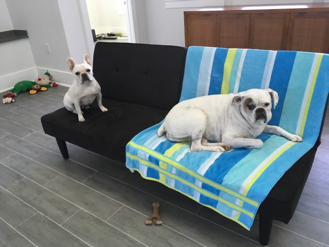 Lucy and Twiggy