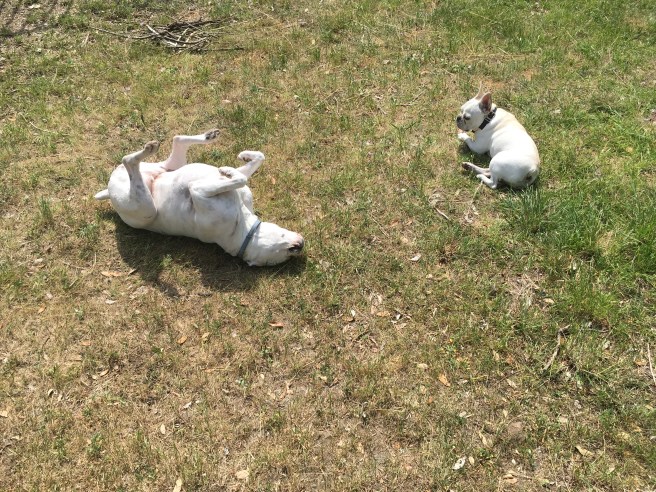 Twiggy and Lucy