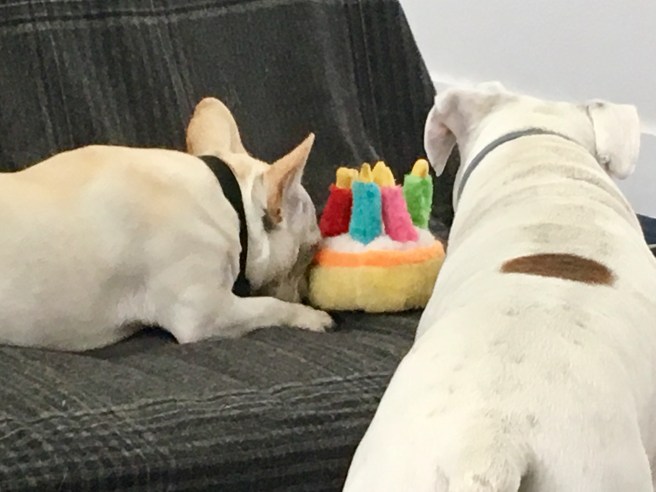 Twiggy and Lucy
