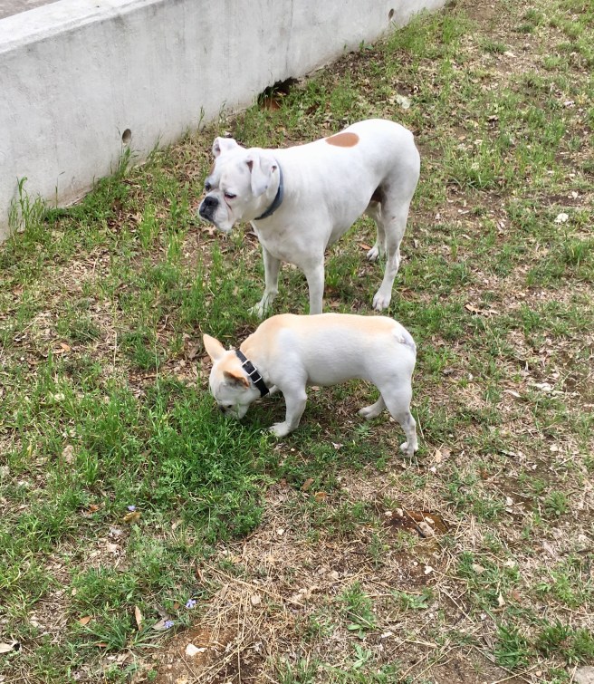 Lucy and Twiggy