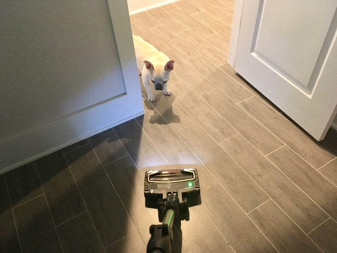 Twiggy and Lucy