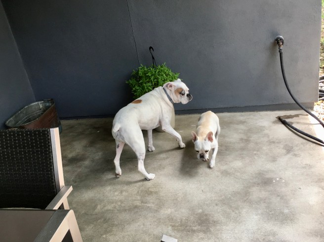 Lucy and Twiggy