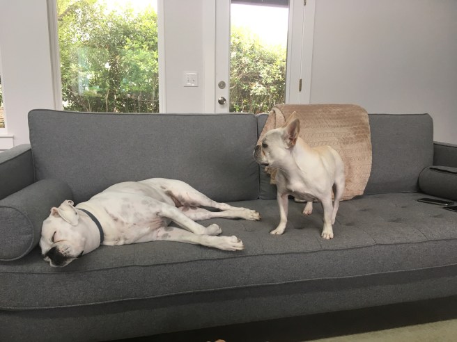 Hump Day