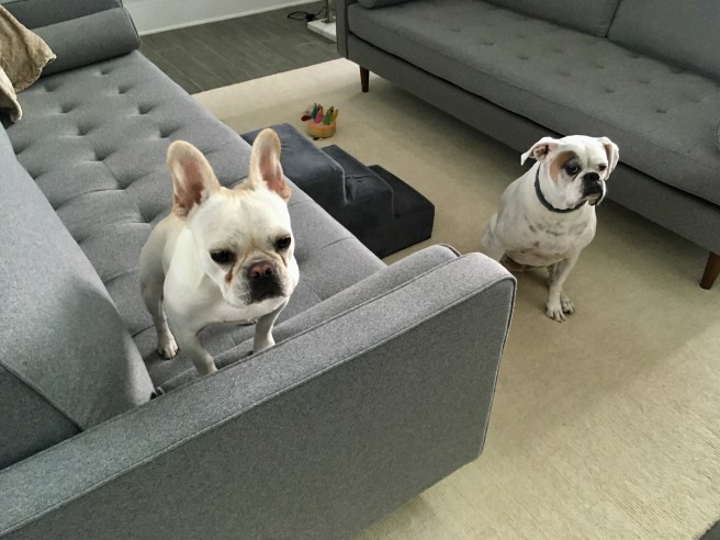 Twiggy and Lucy