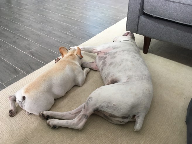 Twiggy and Lucy
