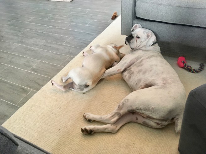 Twiggy and Lucy