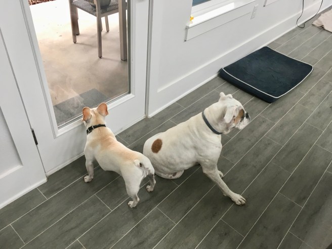 Lucy and Twiggy