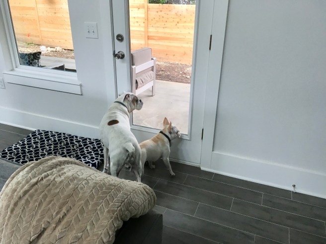 Lucy and Twiggy