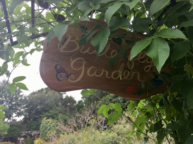 The Natural Garden