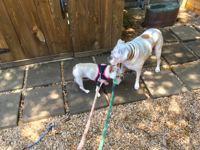 Lucy and Twiggy