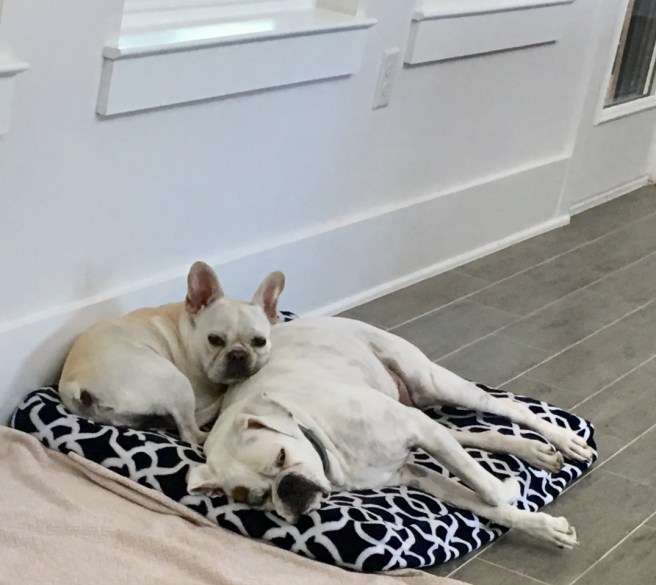 Twiggy and Lucy