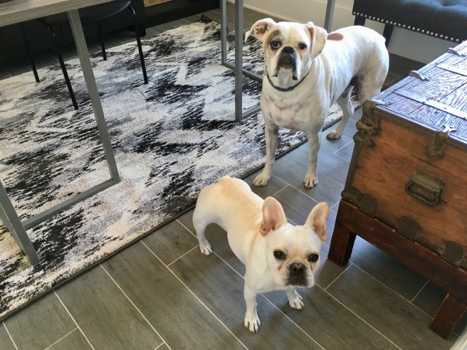 Twiggy and Lucy