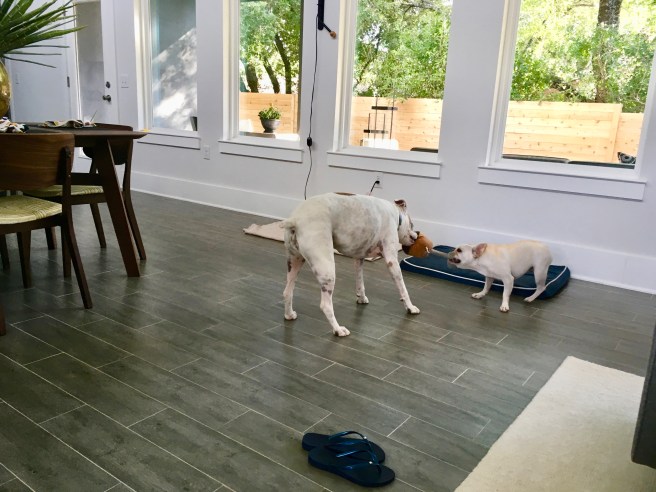 Twiggy and Lucy