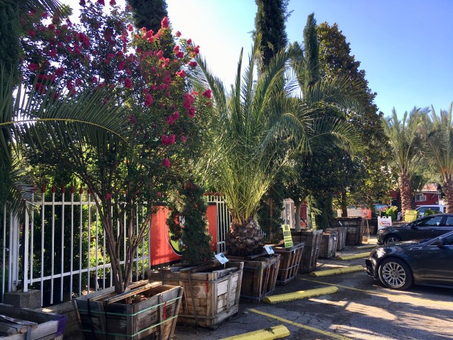 Views of the neighborhood