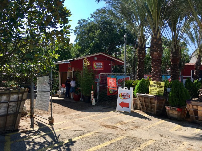 Views of the neighborhood