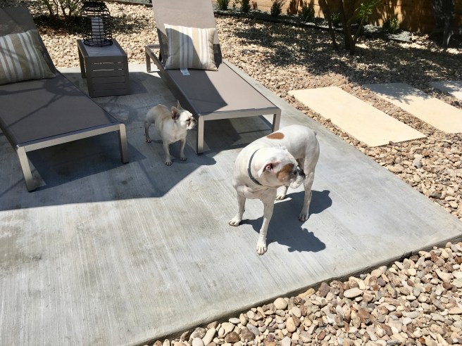Twiggy and Lucy