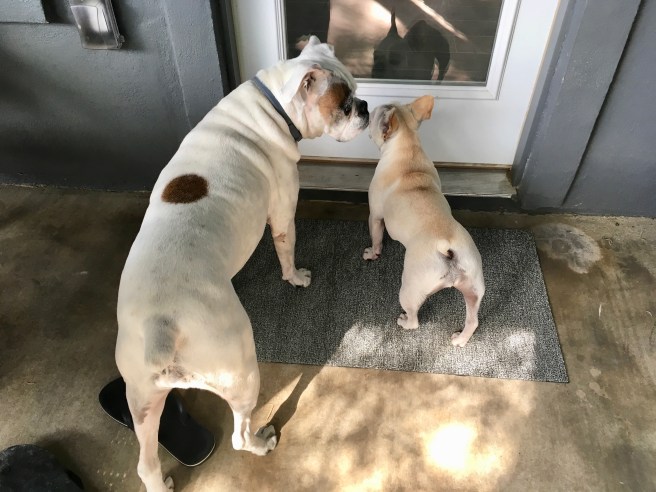 Twiggy and Lucy