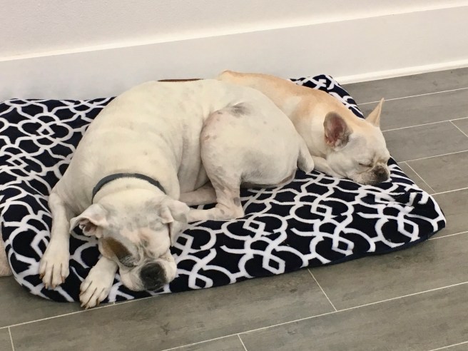 Lucy and Twiggy
