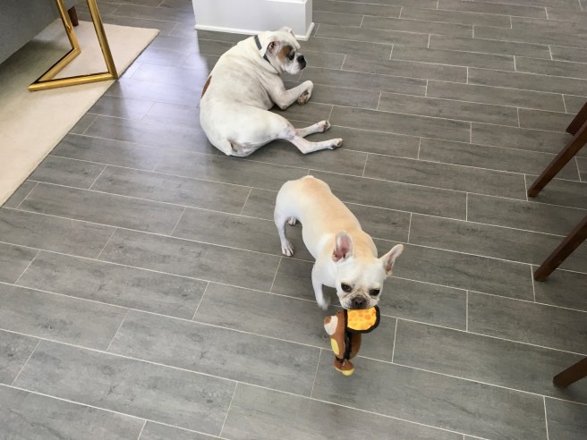 Lucy and Twiggy