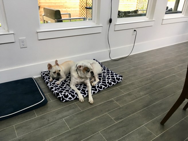 Twiggy and Lucy