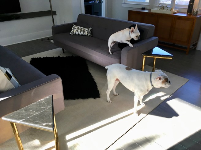Lucy and Twiggy