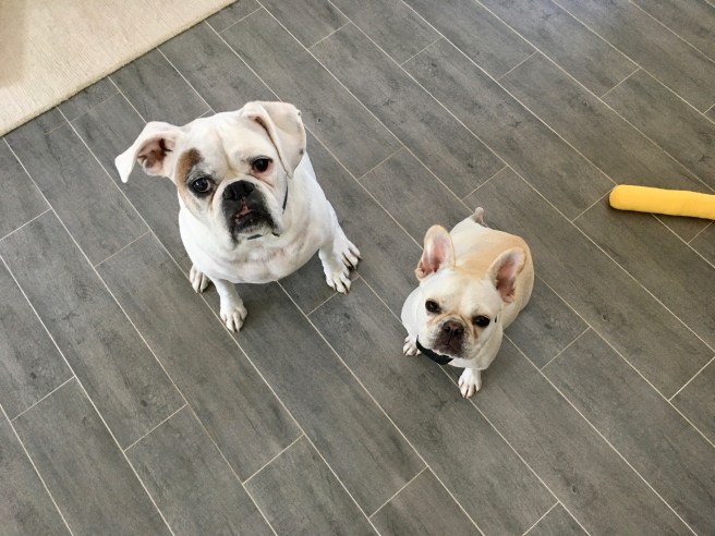 Twiggy and Lucy