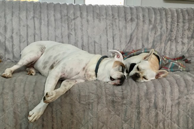 Twiggy and Lucy